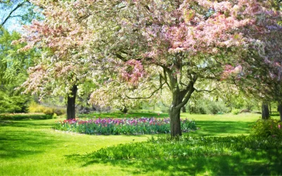 Le printemps, jeu de théâtre pour sortir du cadre